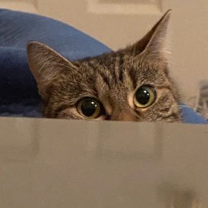 Meet your Posher, Jackie